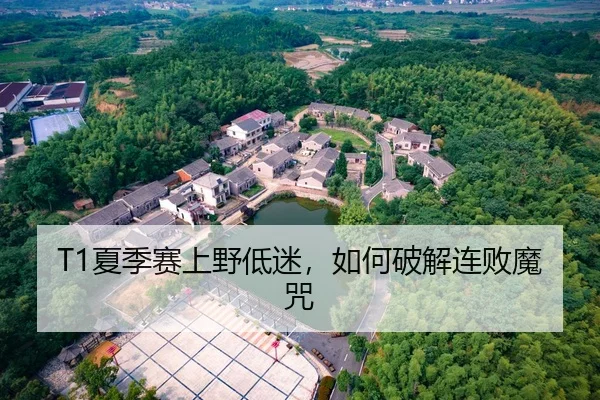 T1夏季赛上野低迷，如何破解连败魔咒